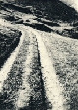chemin.jpg